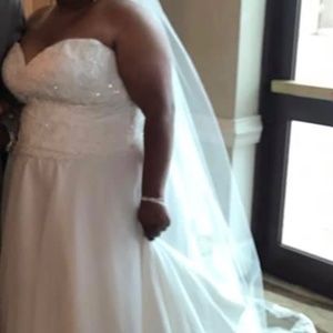 Wedding Dress and Veil